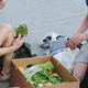 Illustration for article titled Dumpster Diving: A Field Guide